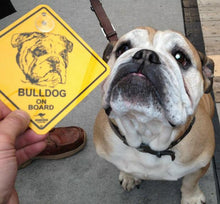 Lade das Bild in den Galerie-Viewer, 12cm Hundeschild Auto Scheibe Schild Motiv Hund + Saugnapf -RASSE A-