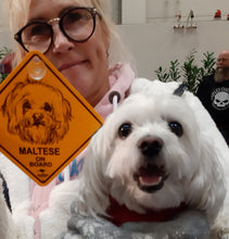 Lade das Bild in den Galerie-Viewer, 12cm Hundeschild Auto Scheibe Schild Motiv Hund + Saugnapf -RASSE A-